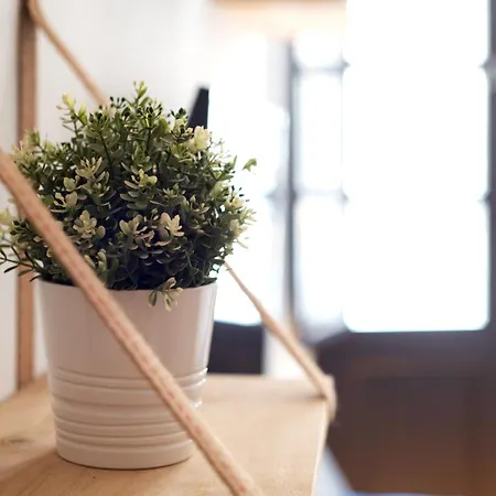 El Balcon Del Pintor, The Best Option In The Historic Center Of アパート *